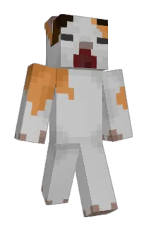 RorroKing Minecraft avatar full body