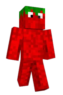 RoryTheCrip Minecraft avatar full body