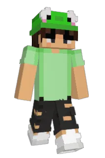 RosaPerc30 Minecraft avatar full body