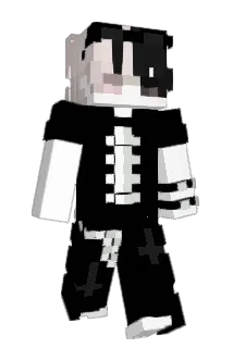 Rossvelt Minecraft avatar full body