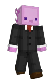 Rovice Minecraft avatar full body