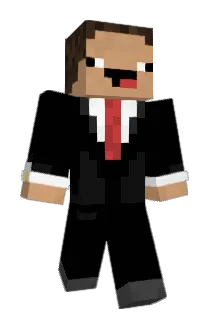 Row011 Minecraft avatar full body