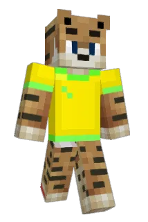 Rox81 Minecraft avatar full body