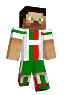 RoyHe Minecraft avatar full body