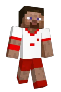 Rozgrzewka Minecraft avatar full body