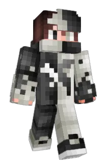 Rsnchill Minecraft avatar full body