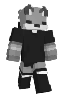 Ruanzin14 Minecraft avatar full body