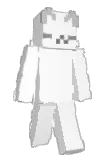 Ruapan Minecraft avatar full body