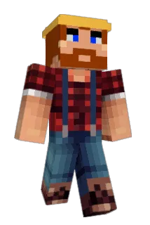 Rubberduck33 Minecraft avatar full body
