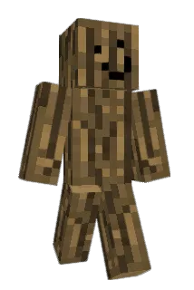 Ruddus1229 Minecraft avatar full body