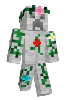 Rudyb Minecraft avatar full body