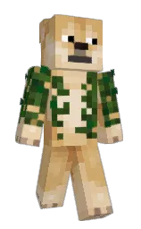 Custom render preview