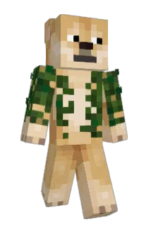 Ruff_b0i Minecraft avatar full body