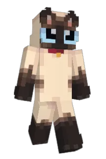 Ruffelckv Minecraft avatar full body