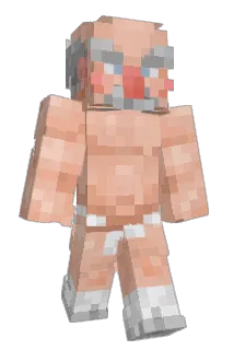 Ruffl3y Minecraft avatar full body