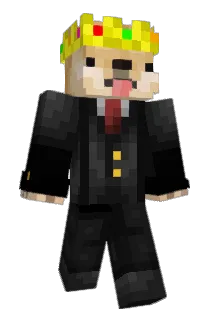 RuinedPixel Minecraft avatar full body