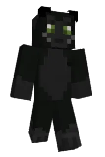 Runcis Minecraft avatar full body