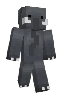 Rupnup3 Minecraft avatar full body