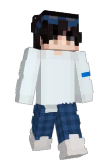 Ruudann Minecraft avatar full body
