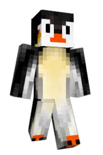 Ruuder Minecraft avatar full body