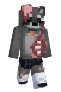 Ruzkyy Minecraft avatar full body