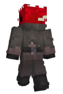 Rwal Minecraft avatar full body