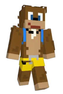 Rwilly Minecraft avatar full body