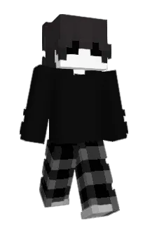 Rwins Minecraft avatar full body