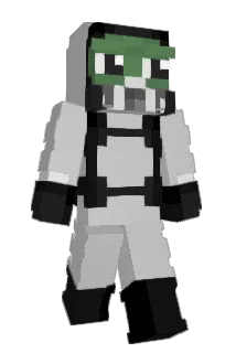Rwtje Minecraft avatar full body