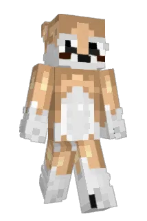 Rxnlld27 Minecraft avatar full body