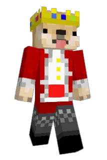 RyRy200035 Minecraft avatar full body