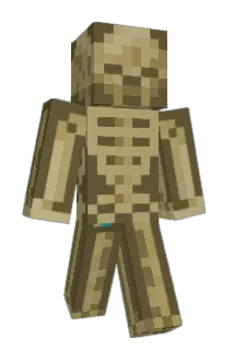 Ryan1799 Minecraft avatar full body
