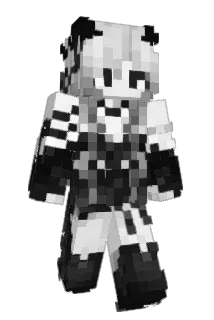 Ryan8570 Minecraft avatar full body
