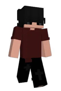 Ryannzin777 Minecraft avatar full body