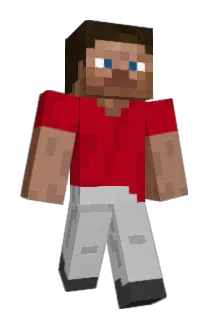 Ryawr Minecraft avatar full body