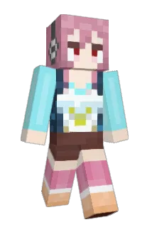 RychanWR2 Minecraft avatar full body
