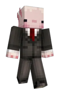 Rydor573 Minecraft avatar full body