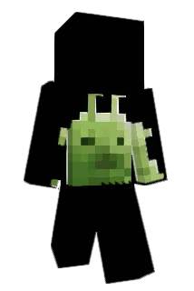 Rygon1928 Minecraft avatar full body