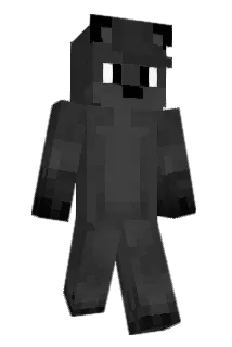 Ryhes Minecraft avatar full body