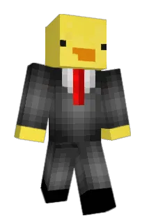 Ryley_Duck Minecraft avatar full body