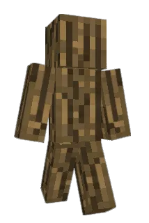 Rynsho Minecraft avatar full body