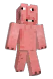 Ryrino Minecraft avatar full body