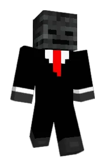 Ryudek Minecraft avatar full body