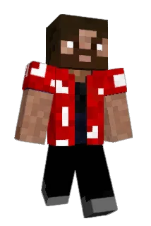 Ryujji07 Minecraft avatar full body