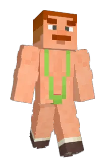 Ryzio08 Minecraft avatar full body
