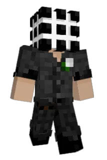 S0L_R Minecraft avatar full body