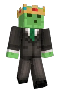 S0lanine Minecraft avatar full body