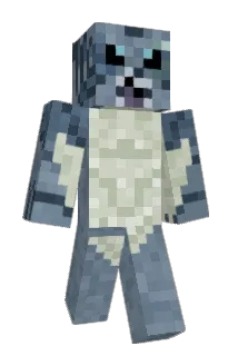 S0ulF0cus Minecraft avatar full body