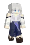 S1_n3 Minecraft avatar full body