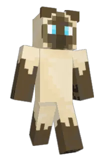 S1ame5e Minecraft avatar full body